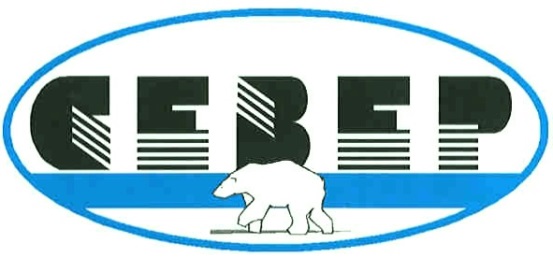 Логотип СЕВЕР-М